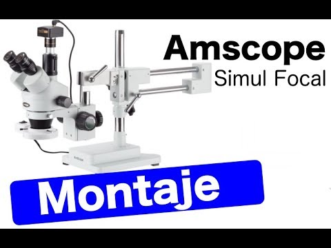 Descubre el poder visual del Microscopio Estéreo AmScope SM 4TZ 144 en 5MT