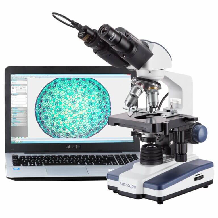 Descubre increíbles detalles con el Microscopio Digital AmScope B120B